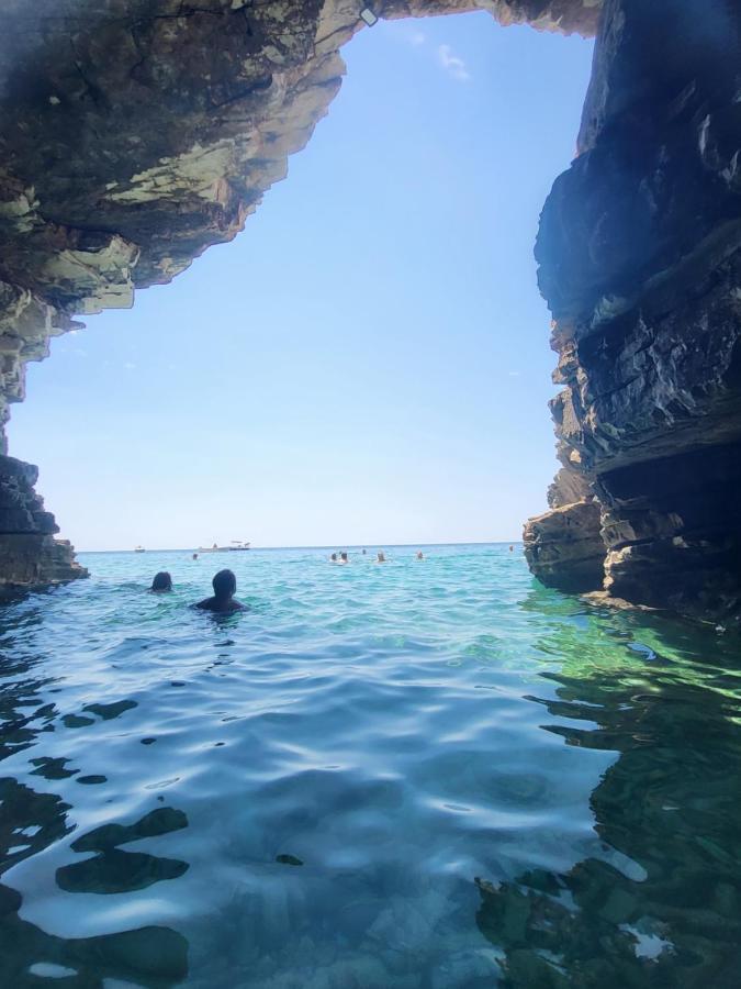 Villa Nemo Poreč Kültér fotó